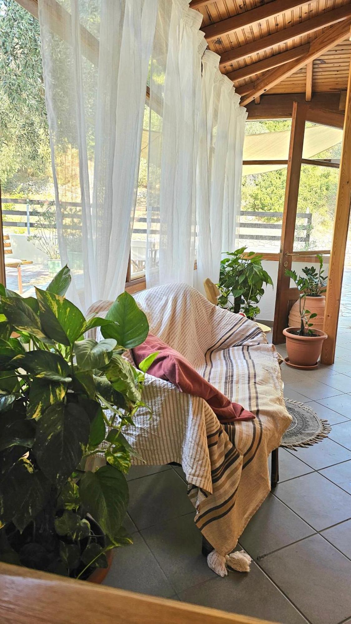 Pension Oasis Votsi  Buitenkant foto